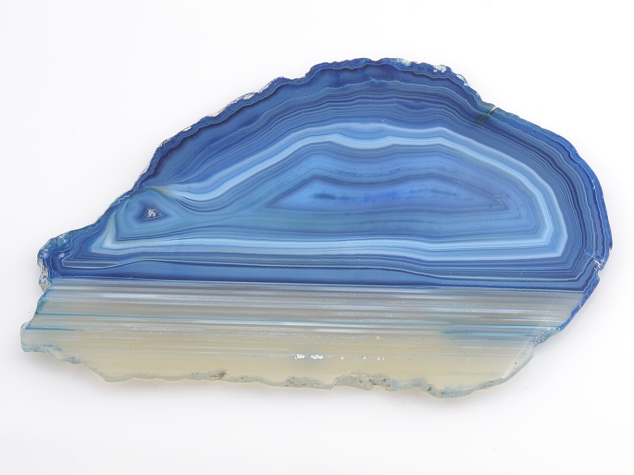 A polished slice of banded blue agate